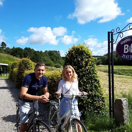 Koppes Molle - Naturnaer B&B Borup (Nibe)