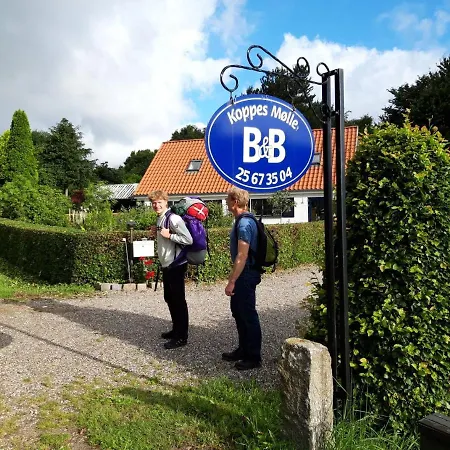 Koppes Molle Panzió *