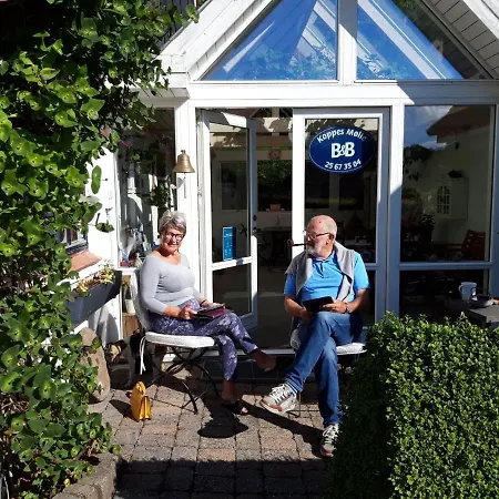 Koppes Molle - Naturnaer B&B Borup (Nibe)