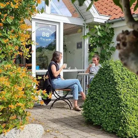 Koppes Molle - Naturnaer Bed & Breakfast 4*