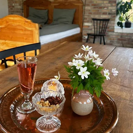 Bed & Breakfast Koppes Molle - Naturnaer Borup (Nibe)