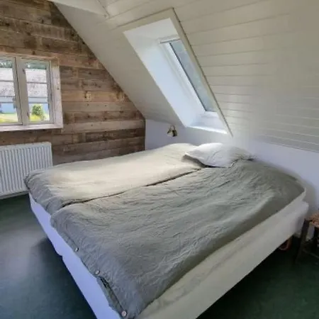 Koppes Molle - Naturnaer Borup (Nibe)