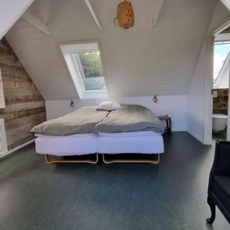 Koppes Molle - Naturnaer Borup (Nibe)