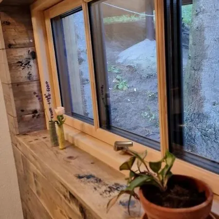 Koppes Molle - Naturnaer Borup (Nibe)