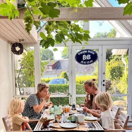 Koppes Molle - Naturnaer Bed & Breakfast