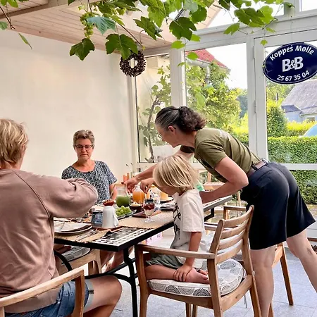 Couette-café Koppes Molle - Naturnaer Borup (Nibe)