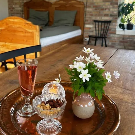 Bed & Breakfast Koppes Molle - Naturnaer Borup (Nibe)