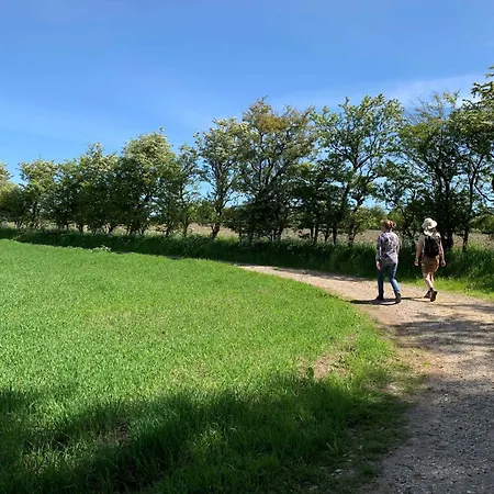 Koppes Molle - Naturnaer