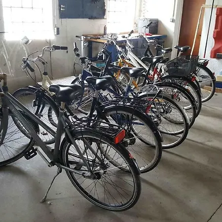 Koppes Molle - Naturnaer 4* Borup (Nibe)