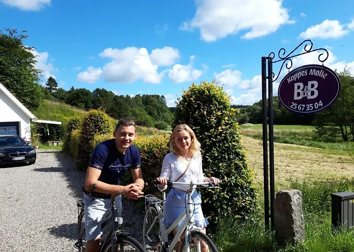 Koppes Mølle Bed & Breakfast Borup (Nibe)