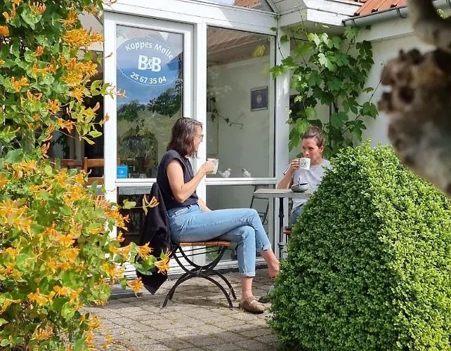 Koppes Mølle Bed & Breakfast 4*