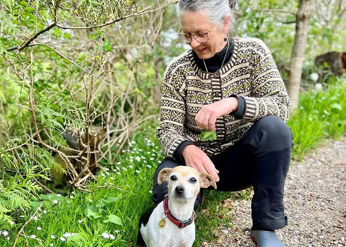 Koppes Mølle 4* Borup (Nibe)