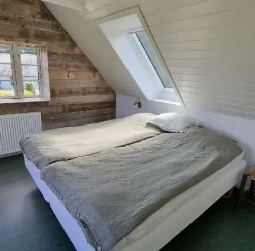Koppes Molle - Naturnaer Borup (Nibe)