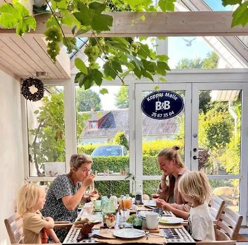 Koppes Molle - Naturnaer Bed & Breakfast