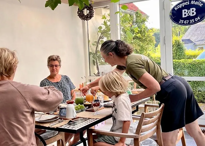 Bed & Breakfast Koppes Mølle Borup (Nibe)